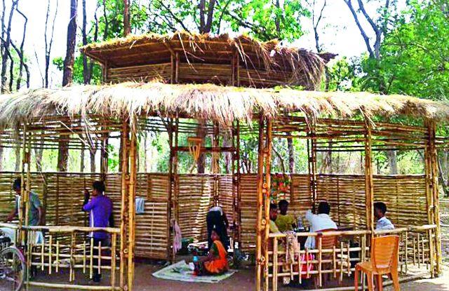 Student goes down to the bamboo farming | विद्यार्थी जेव्हा बांबूच्या शेतीत उतरतात... Student goes down to the bamboo farming | विद्यार्थी जेव्हा बांबूच्या शेतीत उतरतात...