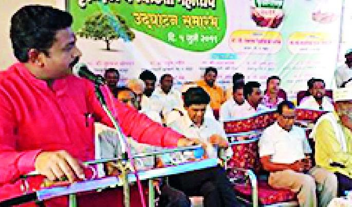 In the last five days, 18 lakh plantations have been planted by various departments | पाच दिवसात विविध विभागांकडून १८ लाख वृक्षांची लागवड In the last five days, 18 lakh plantations have been planted by various departments | पाच दिवसात विविध विभागांकडून १८ लाख वृक्षांची लागवड