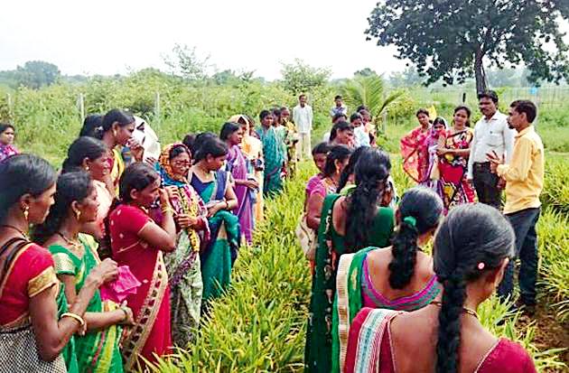 Information about modern farming technology by women | महिलांनी घेतली आधुनिक शेती तंत्रज्ञानाची माहिती Information about modern farming technology by women | महिलांनी घेतली आधुनिक शेती तंत्रज्ञानाची माहिती
