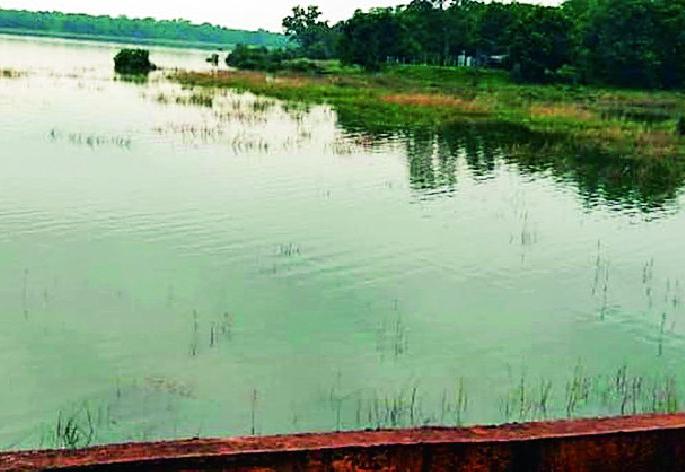 Horse Pond In the phase of 'overflow' | घोडाझरी तलाव ‘ओव्हरफ्लो’च्या टप्प्यात