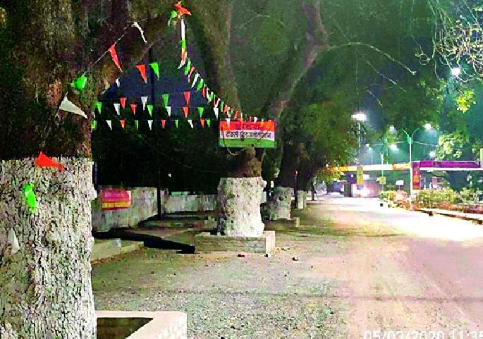 Slaughter of trees in widening | रुंदीकरणात झाडांची कत्तल Slaughter of trees in widening | रुंदीकरणात झाडांची कत्तल