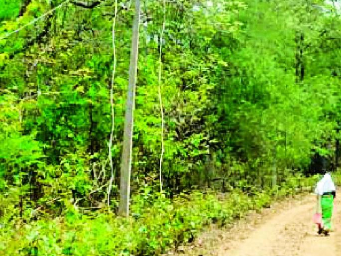 Break 10 power supply of villages | १० गावांचा वीज पुरवठा खंडित Break 10 power supply of villages | १० गावांचा वीज पुरवठा खंडित