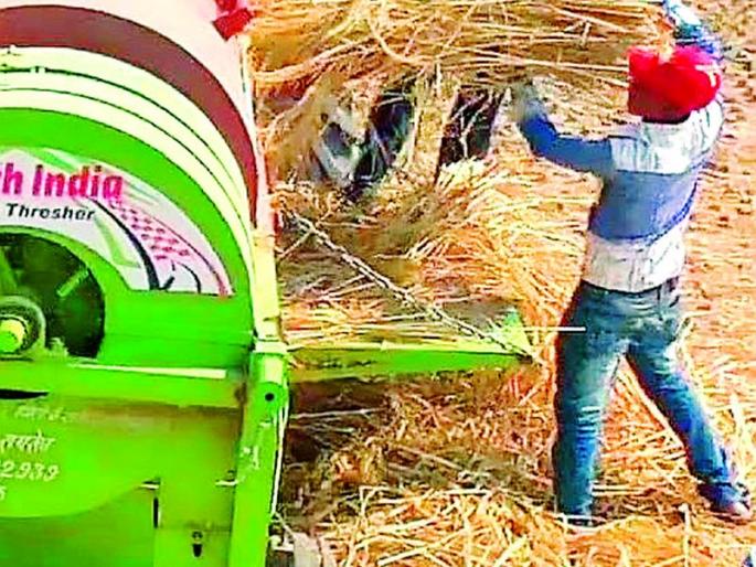 Farmers worried over declining paddy production | धान उत्पादन घटल्याने शेतकरी चिंताग्रस्त Farmers worried over declining paddy production | धान उत्पादन घटल्याने शेतकरी चिंताग्रस्त