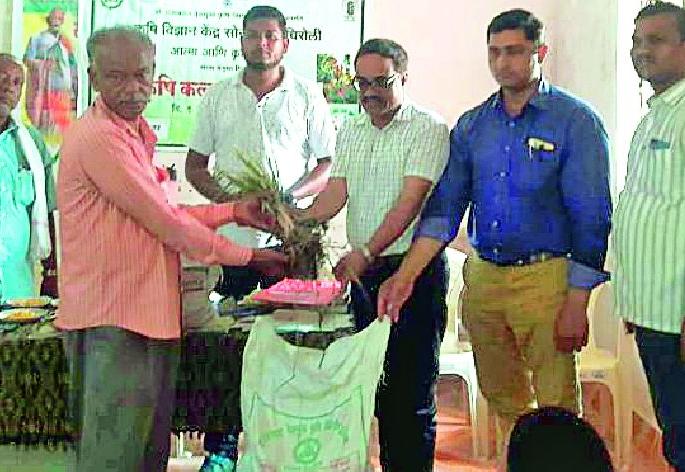 Production increases due to organic fertilizers | सेंद्रिय खतामुळे उत्पादनात वाढ