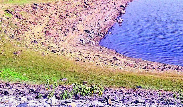 The district of ponds is dry | तलावांचा जिल्हा पडतोय कोरडा