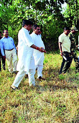 To assess the drought conditions, review the crop | दुष्काळजन्य परिस्थितीचा आढावा घेण्यासाठी केली पीक पाहणी To assess the drought conditions, review the crop | दुष्काळजन्य परिस्थितीचा आढावा घेण्यासाठी केली पीक पाहणी