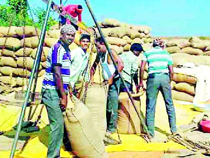 The government wiped the faces of the farmers | शासनाने शेतकऱ्यांच्या तोंडाला पाने पुसली The government wiped the faces of the farmers | शासनाने शेतकऱ्यांच्या तोंडाला पाने पुसली