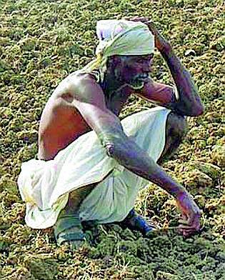 Miss Match of 25 thousand farmers | २५ हजार शेतकऱ्यांचे अर्ज मिस मॅच Miss Match of 25 thousand farmers | २५ हजार शेतकऱ्यांचे अर्ज मिस मॅच