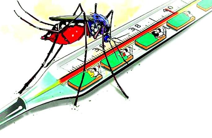 Thaiman of malaria in Saleksa taluka | सालेकसा तालुक्यात मलेरियाचे थैमान Thaiman of malaria in Saleksa taluka | सालेकसा तालुक्यात मलेरियाचे थैमान