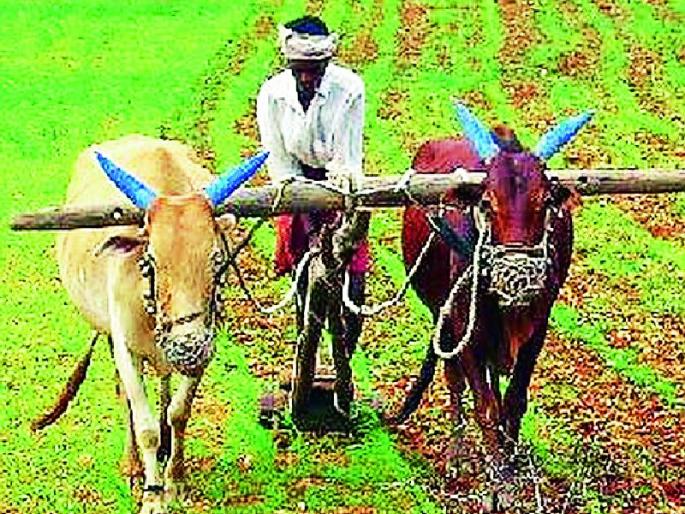 Department of Agriculture withholds grant money | कृषी विभागाने अनुदानाचे पैसे अडविले Department of Agriculture withholds grant money | कृषी विभागाने अनुदानाचे पैसे अडविले
