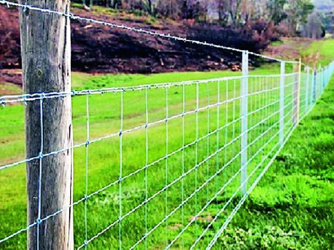 Fence mesh for forests | जंगलालगतच्या शेतांना जाळीचे कुंपण Fence mesh for forests | जंगलालगतच्या शेतांना जाळीचे कुंपण