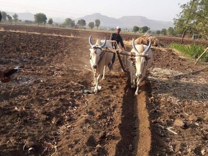 Gudi Padva in a simple manner in Khamkhheda area | खामखेडा परिसरात साध्या पध्दतीने गुढीपाडवा Gudi Padva in a simple manner in Khamkhheda area | खामखेडा परिसरात साध्या पध्दतीने गुढीपाडवा