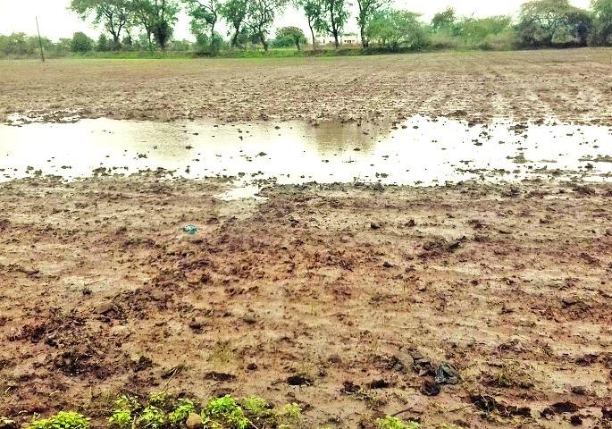 Sowing remaining in 35 percent area | ३५ टक्के क्षेत्रावर पेरणी बाकी