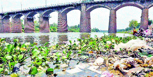 'My Krushmai' movement created by youth ... | तरुणांनी उभारली ‘माझी कृष्णामाय’ चळवळ...