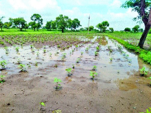 Damage caused by heavy rains in Astane area | अस्ताणे परिसरात अतिवृष्टीने नुकसान Damage caused by heavy rains in Astane area | अस्ताणे परिसरात अतिवृष्टीने नुकसान