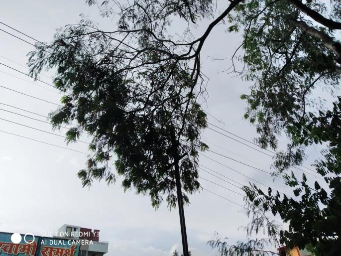 nashik,lightning,breaks,down,the,system | वीजतारांवर फांद्या पडून यंत्रणा विस्कळीत nashik,lightning,breaks,down,the,system | वीजतारांवर फांद्या पडून यंत्रणा विस्कळीत