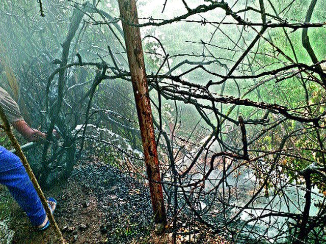 In the garden of Nandagavi, the plants burned, the plants burned | नांदगावी बागेत लागलेल्या आगीत झाडे, वनस्पती जळून खाक In the garden of Nandagavi, the plants burned, the plants burned | नांदगावी बागेत लागलेल्या आगीत झाडे, वनस्पती जळून खाक