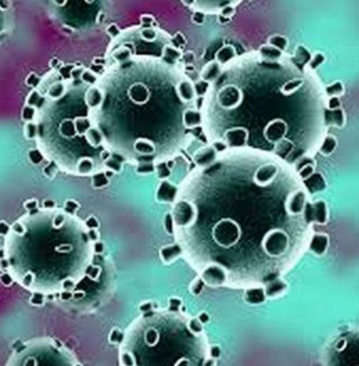 The report of one in isolation is also positive for the second time | आयसोलेशनधील एकाचा रिपोर्ट दुसऱ्यांदाही पॉझिटिव्ह The report of one in isolation is also positive for the second time | आयसोलेशनधील एकाचा रिपोर्ट दुसऱ्यांदाही पॉझिटिव्ह