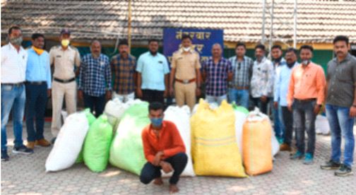 Cotton thief arrested | कापूस चोरी करणा-याला अटक Cotton thief arrested | कापूस चोरी करणा-याला अटक