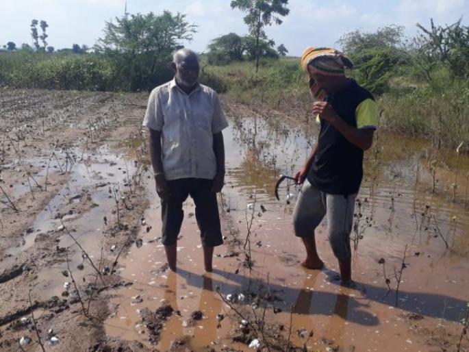 Damaged officer: Returned to officer: | नुकसानीच्या पंचनाम्यासाठी गेलेल्या अधिका:यांना परतवले Damaged officer: Returned to officer: | नुकसानीच्या पंचनाम्यासाठी गेलेल्या अधिका:यांना परतवले