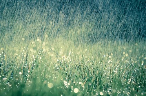 Moderate rainfall in many parts of the district | जिल्ह्यातील अनेक भागात मध्यम स्वरूपाचा पाऊस Moderate rainfall in many parts of the district | जिल्ह्यातील अनेक भागात मध्यम स्वरूपाचा पाऊस