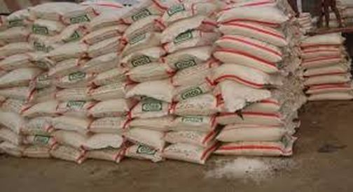Urea not available even after Agriculture Minister's visit! | कृषी मंत्र्यांच्या दौऱ्यानंतरही युरिया मिळेना ! Urea not available even after Agriculture Minister's visit! | कृषी मंत्र्यांच्या दौऱ्यानंतरही युरिया मिळेना !