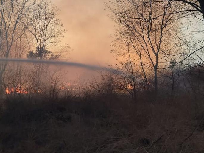 Open fire in Ozark Airport area | ओझर विमानतळ परिसरातील मोकळ्या गायरानाला आग Open fire in Ozark Airport area | ओझर विमानतळ परिसरातील मोकळ्या गायरानाला आग