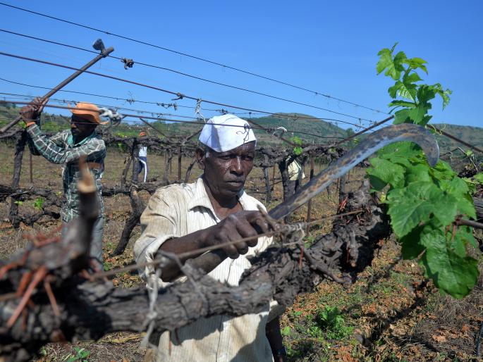 nahik,delay,for,panchanam,as,the,severity,damage,high | नुकसानीची तीव्रता अधिक असल्याने पंचनाम्यांना विलंब nahik,delay,for,panchanam,as,the,severity,damage,high | नुकसानीची तीव्रता अधिक असल्याने पंचनाम्यांना विलंब