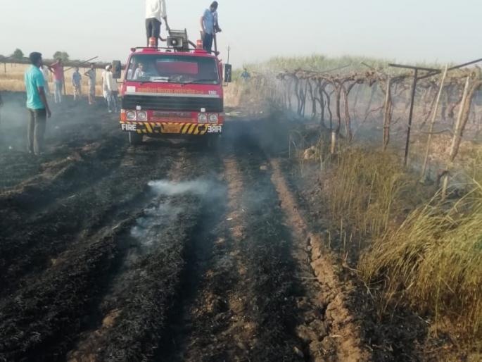 In Chichkhed Shivar, four bigha wheat were burnt in the fire | चिचखेड शिवारात आगीत चार बिघे गहू भस्मसात In Chichkhed Shivar, four bigha wheat were burnt in the fire | चिचखेड शिवारात आगीत चार बिघे गहू भस्मसात