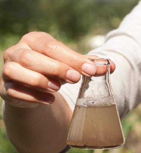 116 water samples in Parbhani district are contaminated | परभणी जिल्ह्यात ११६ पाणी नमुने दूषित