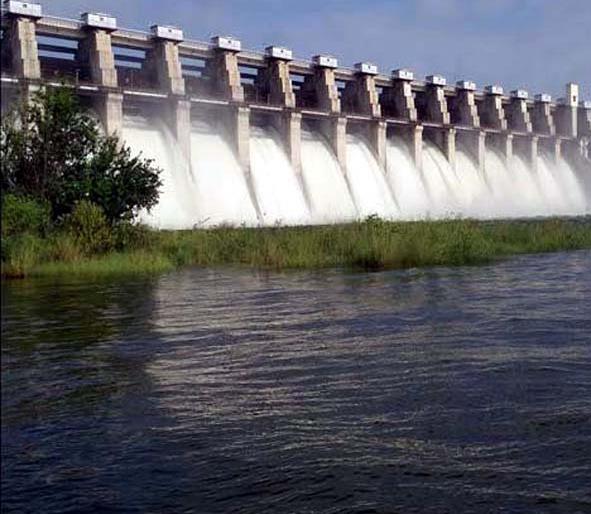 Parbhani: With the water of 'Jaikwadi', it saved the drought area | परभणी : ‘जायकवाडी’च्या पाण्याने दुष्काळी भागाला तारले Parbhani: With the water of 'Jaikwadi', it saved the drought area | परभणी : ‘जायकवाडी’च्या पाण्याने दुष्काळी भागाला तारले