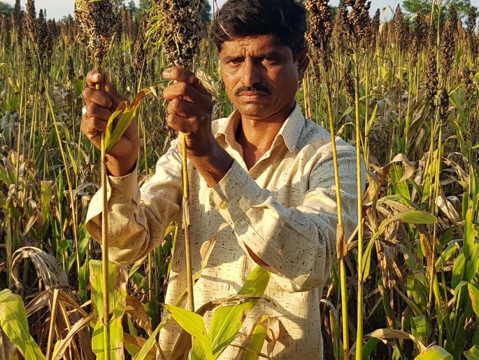 The grass that came in was lost | हाती आलेला घास हिरावला The grass that came in was lost | हाती आलेला घास हिरावला