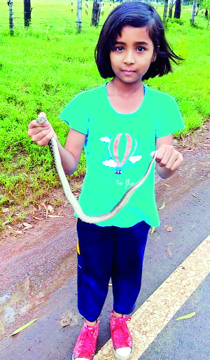 Kundal's daughter dies hanging by towel | कुंडलच्या मुलीचा टॉवेलने फास बसून मृत्यू