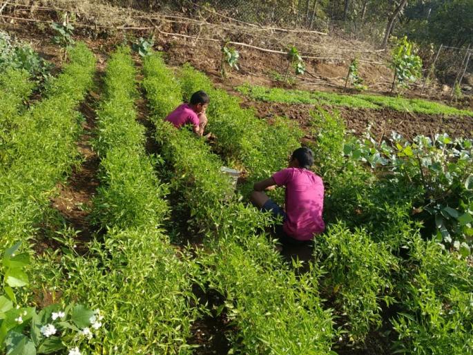 Allotment of self-made vegetables and masks to the government of the homeless children | बेघर मुलांचा सरकारला आधार, स्वत: तयार केलेली भाजी आणि मास्कचे वाटप Allotment of self-made vegetables and masks to the government of the homeless children | बेघर मुलांचा सरकारला आधार, स्वत: तयार केलेली भाजी आणि मास्कचे वाटप