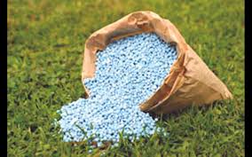 Demand for revocation of licenses of farmers involved in urea procurement | युरिया खरेदीमध्ये शेतकऱ्यांची फसवणुक करणाऱ्यांचे परवाने रद्द करण्याची मागणी Demand for revocation of licenses of farmers involved in urea procurement | युरिया खरेदीमध्ये शेतकऱ्यांची फसवणुक करणाऱ्यांचे परवाने रद्द करण्याची मागणी