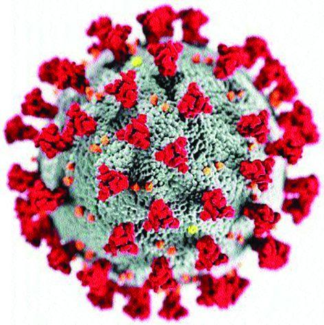 Another 23 corona positive; Total number of patients 807! | आणखी २३ कोरोना पॉझिटिव्ह; एकूण रुग्णसंख्या ८०७ !