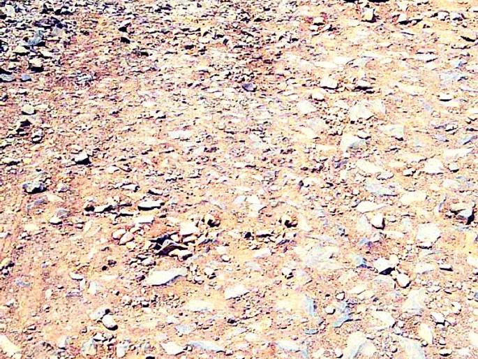 Make the road from Sevagram to Wardha main road | सेवाग्राम ते वर्धा मुख्य रस्ता वाहतुकीसाठी योग्य करा Make the road from Sevagram to Wardha main road | सेवाग्राम ते वर्धा मुख्य रस्ता वाहतुकीसाठी योग्य करा