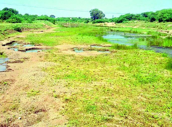 Water shortage in Darwha taluka | दारव्हा तालुक्यात पाणीटंचाई