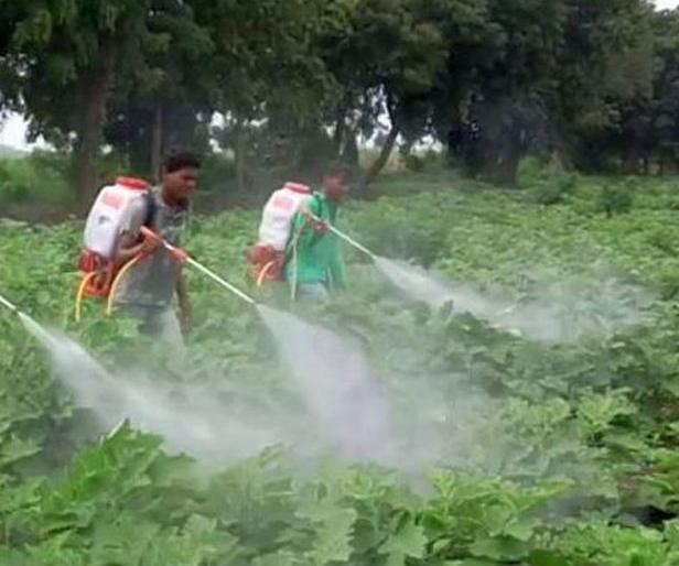China spray pump disappears from Yavatmal market | चायना फवारणी पंप यवतमाळच्या बाजारातून गायब