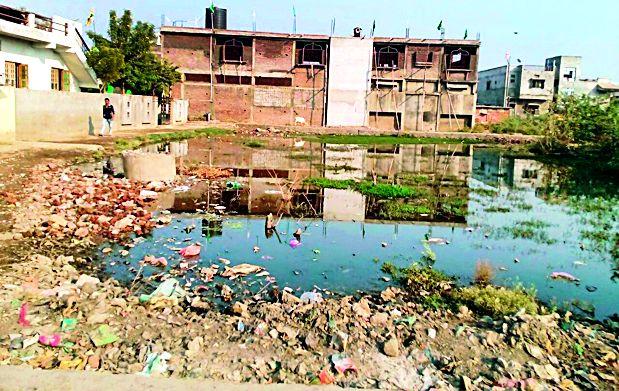 Pond sewage pools | पुसदमध्ये सांडपाण्याचे तळे  Pond sewage pools | पुसदमध्ये सांडपाण्याचे तळे