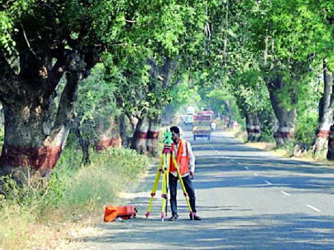 1100 trees will be broken for the road | रस्त्यासाठी ११०० वृक्ष तुटणार 1100 trees will be broken for the road | रस्त्यासाठी ११०० वृक्ष तुटणार