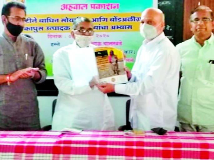 The need to raise alternatives to soybeans | सोयाबीनला पर्याय उभा करण्याची गरज