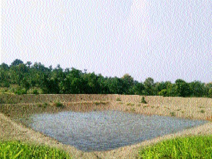 300 farmers through NHM in the district | जिल्ह्यात एनएचएमच्या माध्यमातून ३०० शेततळी