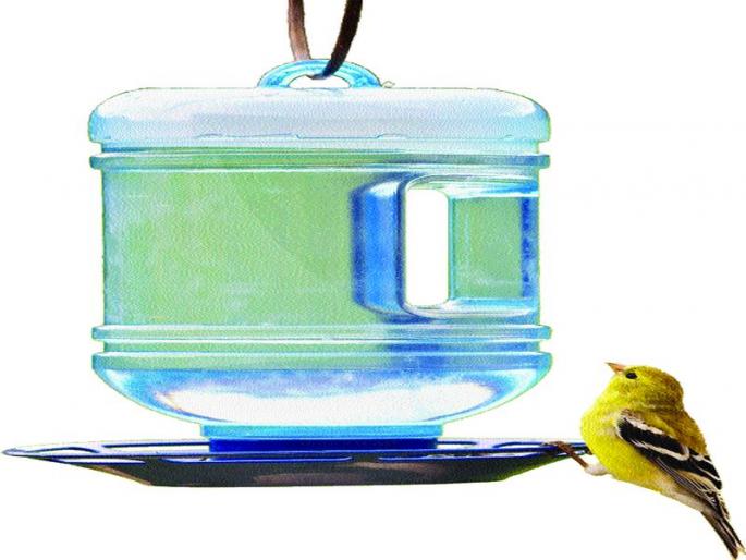 Water availability for thirsty birds | तहानलेल्या पक्ष्यांसाठी पाण्याची उपलब्धता Water availability for thirsty birds | तहानलेल्या पक्ष्यांसाठी पाण्याची उपलब्धता