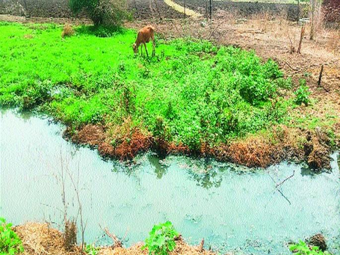  Demand for putting drainage line | ड्रेनेज लाइन टाकण्याची मागणी