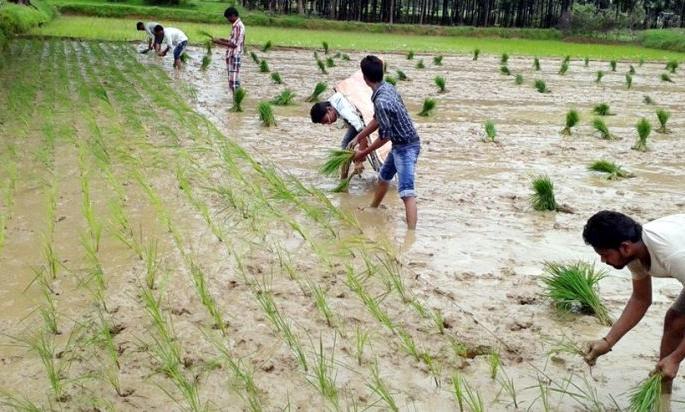 Farmers Reservation ball is now in Prime Minister's Court | शेतकरी आरक्षणाचा चेंडू आता पंतप्रधानांच्या कोर्टात Farmers Reservation ball is now in Prime Minister's Court | शेतकरी आरक्षणाचा चेंडू आता पंतप्रधानांच्या कोर्टात