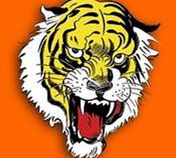 In the Vidhan Sabha, active candidates have been scrutinized by Shivsena | शिवसेनेकडून विदर्भात सक्षम उमेदवारांची चाचपणी सुरू