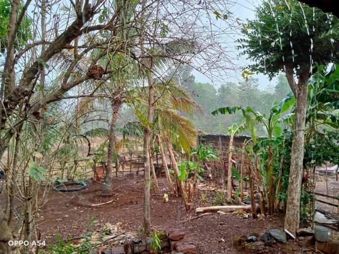 Rain with wind in Sindhudurg district due to lightning, heavy loss of mangoes | सिंधुदुर्ग जिल्ह्यात विजांच्या कडकडाटात वाऱ्यासह पाऊस, आंब्याचे मोठे नुकसान Rain with wind in Sindhudurg district due to lightning, heavy loss of mangoes | सिंधुदुर्ग जिल्ह्यात विजांच्या कडकडाटात वाऱ्यासह पाऊस, आंब्याचे मोठे नुकसान