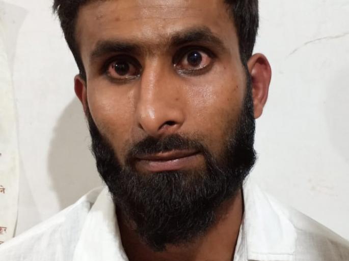 Nine lakhs of istia seized in Mirage - Ekushi arrested: Local crime investigations | मिरजेत नऊ लाखाचे हस्तिदंत जप्त- एकास अटक : स्थानिक गुन्हे अन्वेषणची कारवाई Nine lakhs of istia seized in Mirage - Ekushi arrested: Local crime investigations | मिरजेत नऊ लाखाचे हस्तिदंत जप्त- एकास अटक : स्थानिक गुन्हे अन्वेषणची कारवाई