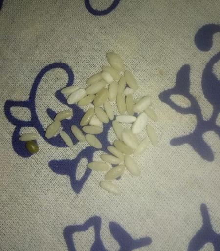 Plastic rice found in school nutrition diet? Education officials say, this is a nutritious diet. | शालेय पोषण आहारात आढळले प्लास्टिकचे तांदूळ? शिक्षणाधिकारी म्हणतात, हा पोषण आहार.. Plastic rice found in school nutrition diet? Education officials say, this is a nutritious diet. | शालेय पोषण आहारात आढळले प्लास्टिकचे तांदूळ? शिक्षणाधिकारी म्हणतात, हा पोषण आहार..